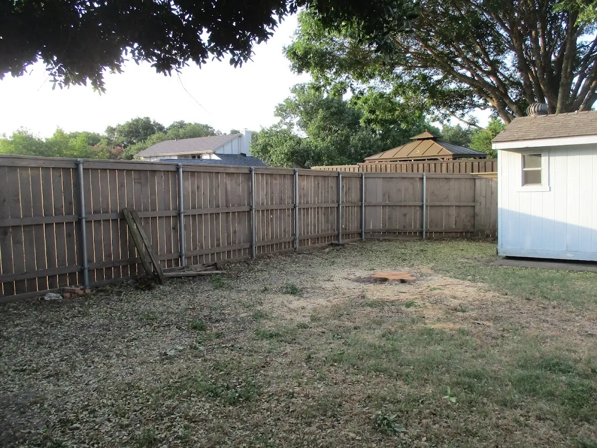 Cleared yard after professional tree removal in Brockton